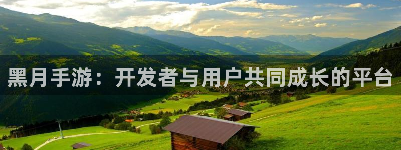 恒盛娱乐平台：黑月手游：开发者与用户共同成长的平台