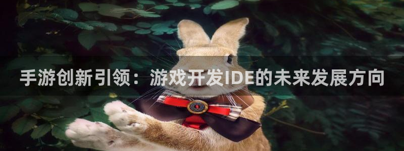 恒盛娱乐下载：手游创新引领：游戏开发IDE的未来发展方向