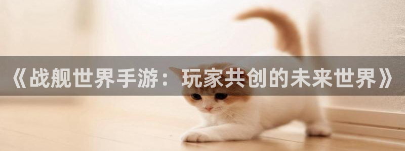 恒盛娱乐登录：《战舰世界手游：玩家共创的未来世界》