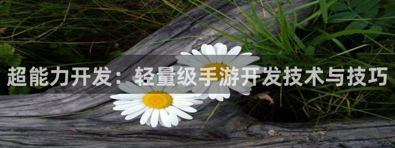 恒盛娱乐登录：超能力开发：轻量级手游开发技术与技巧