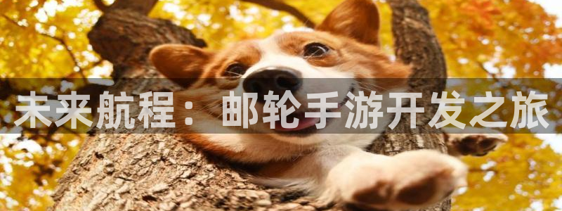 恒盛娱乐平台：未来航程：邮轮手游开发之旅