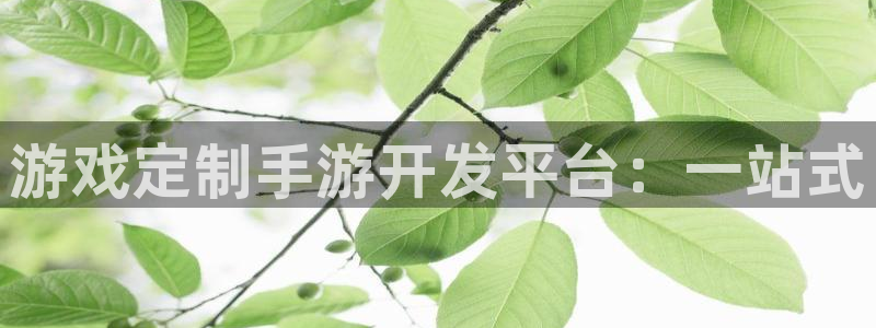 恒盛娱乐首页：游戏定制手游开发平台：一站式