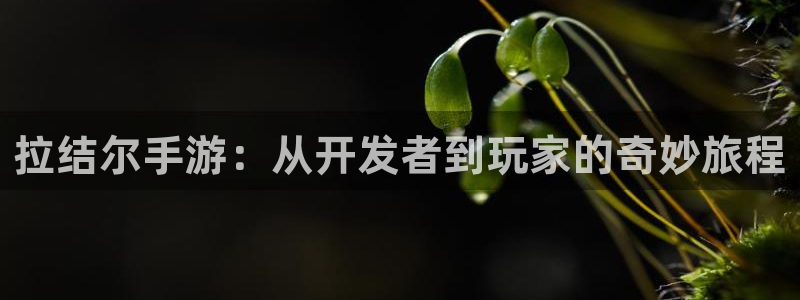 恒盛娱乐首页