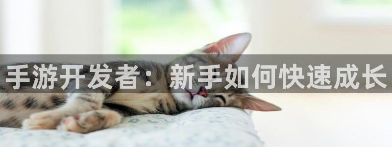 恒盛娱乐登陆：手游开发者：新手如何快速成长