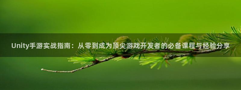 恒盛娱乐注册：Unity手游实战指南：从零到成为顶尖游戏开发