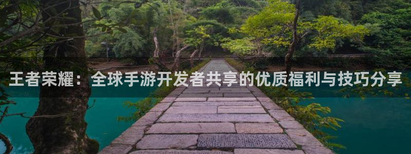 恒盛娱乐平台：王者荣耀：全球手游开发者共享的优质福利与技巧分