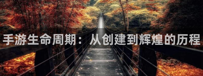 恒盛娱乐平台：手游生命周期：从创建到辉煌的历程
