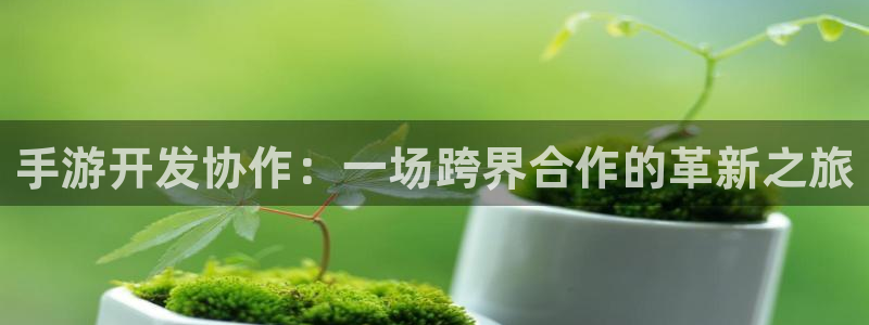 恒盛娱乐首页：手游开发协作：一场跨界合作的革新之旅