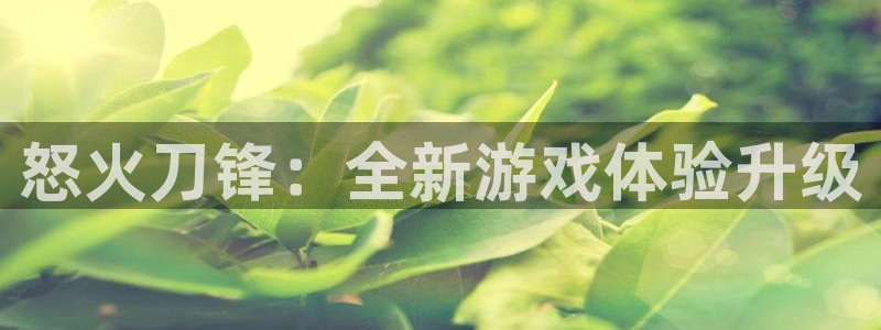 恒盛娱乐首页：怒火刀锋：全新游戏体验升级