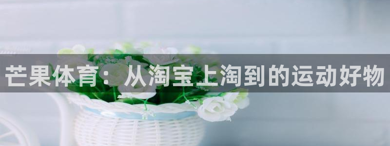 77体育