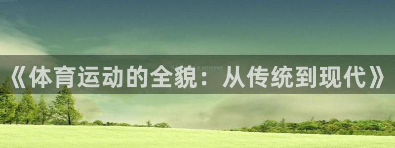 77体育：《体育运动的全貌：从传统到现代》
