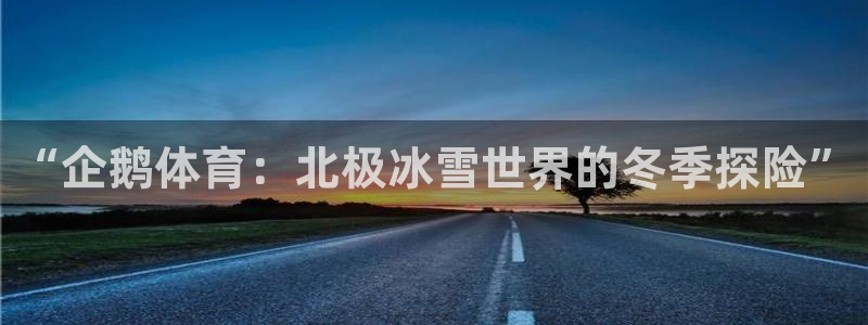 77体育官网：“企鹅体育：北极冰雪世界的冬季探险”